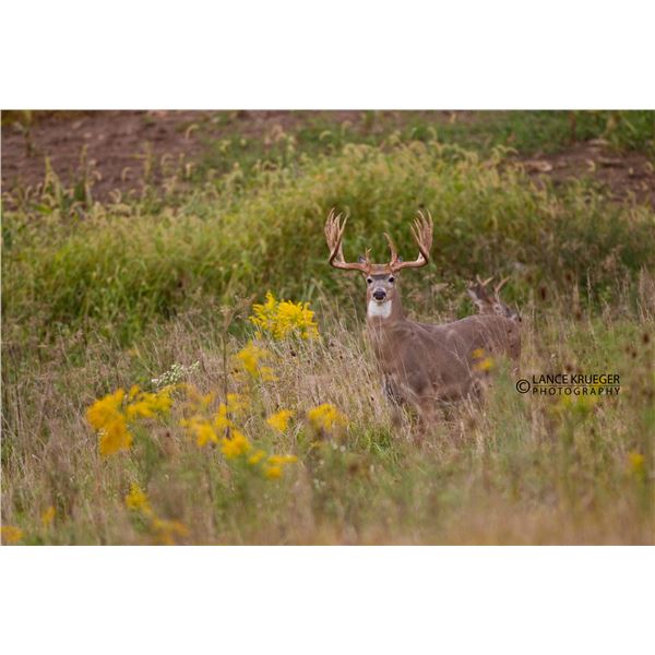 Briarwood Sporting Club Ohio Whitetail Hunt for Two Hunters