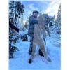 Image 3 : Mike Popp’s Nature Adventures North Idaho Predator 4 Pack Hunt