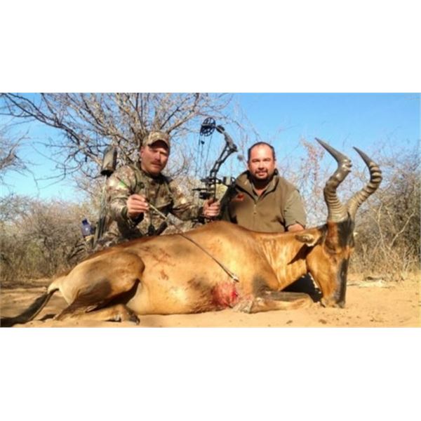 Afrihunt Safaris Namibia Plains Game