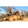 Image 1 : Afrihunt Safaris Namibia Plains Game