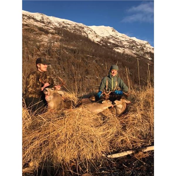 Kodiak Outfitter Blacktail Deer Hunt