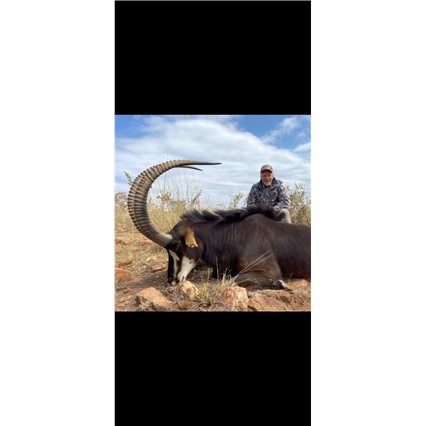 6 Day Sable and Gemsbok Hunt for 2026 OR 2027