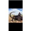 Image 1 : 6 Day Sable and Gemsbok Hunt for 2026 OR 2027