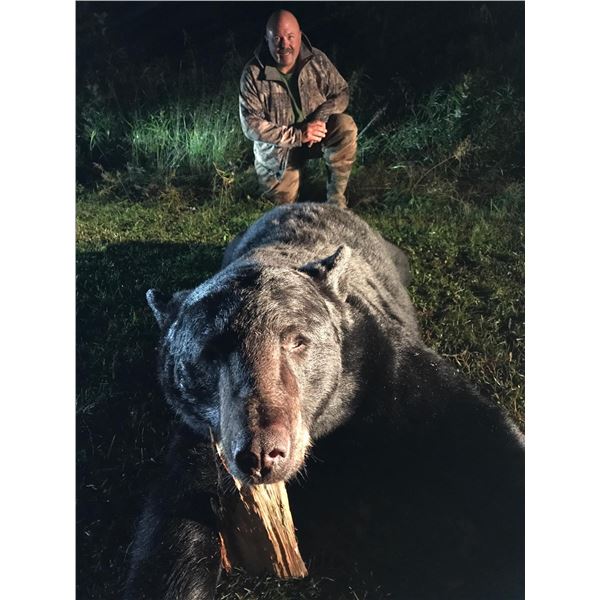Minnesota Over the Counter/Statewide Big Bear Specialist