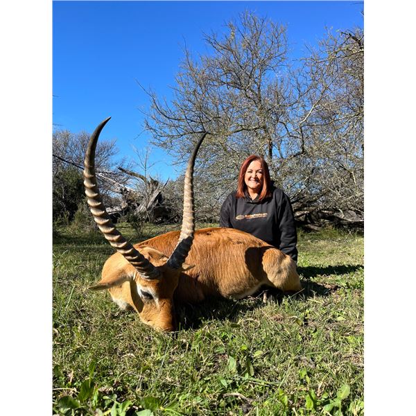 Western Cape Game Trophy Red Lechwe Hunt