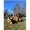 Image 1 : Western Cape Game Trophy Red Lechwe Hunt
