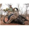 Image 1 : Africa Maximum Safaris – Cape Buffalo Bull and Cow