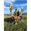 Image 1 : New Zealand Guided Hunt