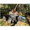 Image 3 : Idaho Black Bear Hunt with Mike Popp Nature Adventures