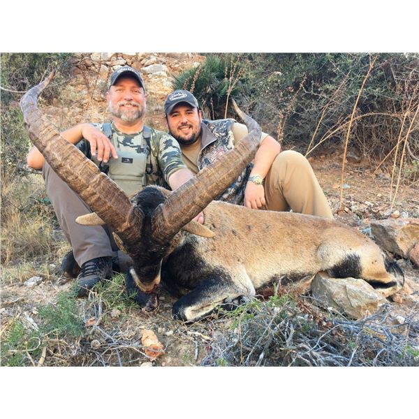 Southeastern Ibex with Corju Hunting