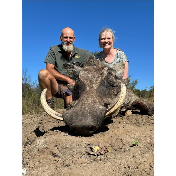 South African 5 Day Plains game hunt for 2-10 hunters