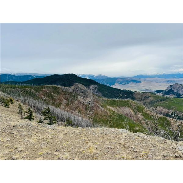 Montana Spring Black Bear Hunt