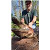 Image 1 : Florida Gator Hunt