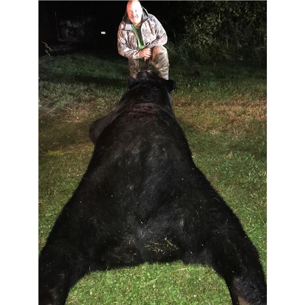 Minnesota Over the Counter/Statewide Big Bear Specialist
