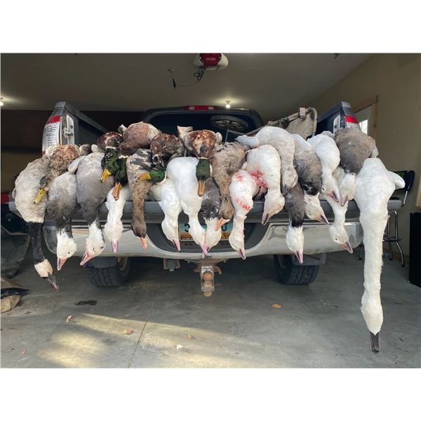 Cold Water Outfitters Waterfowl Hunt for 2
