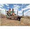 Image 1 : Africa Maximum Safaris Plains Game