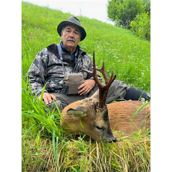 Scotland Roebuck Hunt with 2 Roebuck or Fall Red Stag