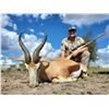 Image 1 : 5 Day Plains Game Hunt Safaris for 2 Hunters