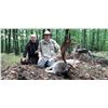 Image 1 : European Hunting Adventures FALLOW DEER IN SERBIA