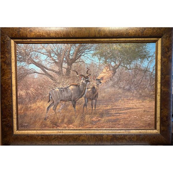 Deluxe framed Grey Ghost - Kudu by Michael Sieve