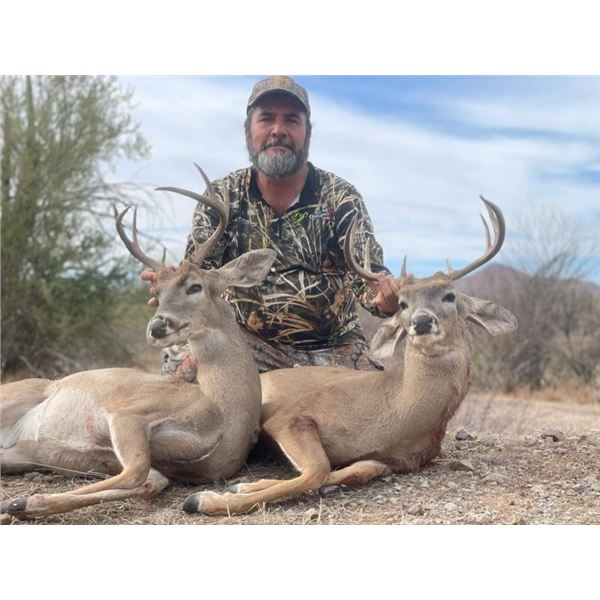 Mexico Coues Deer Hunt for 2 Hunters – Erwins Outdoors