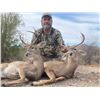 Image 1 : Mexico Coues Deer Hunt for 2 Hunters – Erwins Outdoors