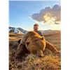 Image 2 : Spring Yukon Grizzly Hunt