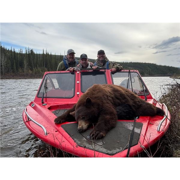 Yukon Black Bear Hunt with Grizzly Option