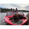 Image 1 : Yukon Black Bear Hunt with Grizzly Option