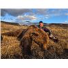 Image 3 : Yukon Black Bear Hunt with Grizzly Option