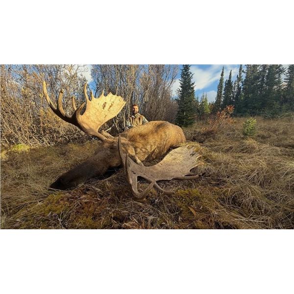 Yukon Moose Hunt