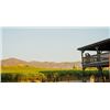 Image 2 : MadoroM Wine Tasting Experience In Napa