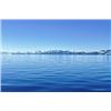 Image 5 : TESSIES’S GUIDE SERVICE, LAKE TAHOE