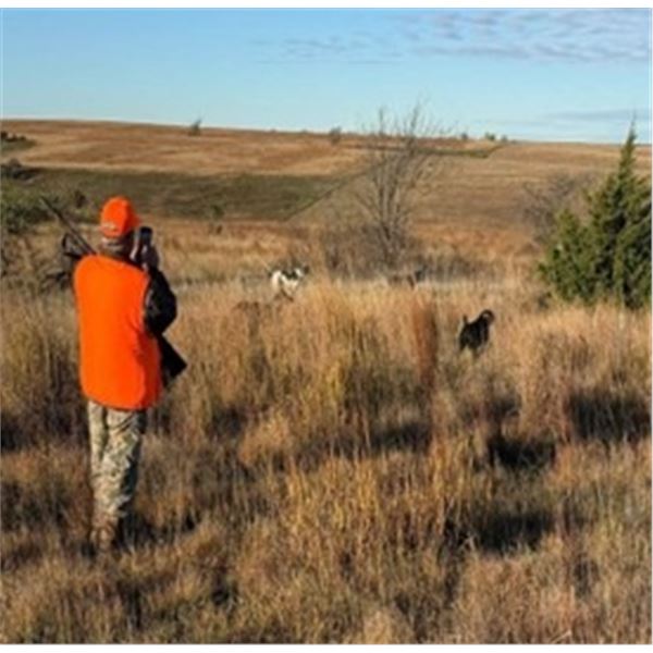 Bow Creek Pheasant Hunting