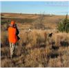 Image 1 : Bow Creek Pheasant Hunting