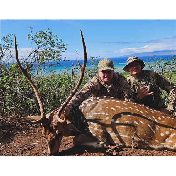 Hawaiian Axis Deer Hunt