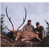Image 2 : Hawaiian Axis Deer Hunt