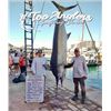 Image 1 : Top Anglers Big Game Saltwater Fishing, Cabo San Lucas