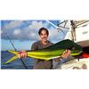 Image 3 : Top Anglers Big Game Saltwater Fishing, Cabo San Lucas
