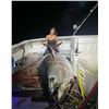 Image 2 : Blue Fin Tuna Fishing As Featured on Wicked Tuna!!!