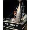 Image 3 : Blue Fin Tuna Fishing As Featured on Wicked Tuna!!!