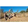 Image 1 : King of Kings Sonoran Mule Deer Package 6 Day Sonora, Mexico Free Range Desert Mule Deer Hunt