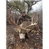 Image 2 : King of Kings Sonoran Mule Deer Package 6 Day Sonora, Mexico Free Range Desert Mule Deer Hunt