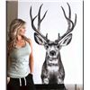 Image 5 : King of Kings Sonoran Mule Deer Package 6 Day Sonora, Mexico Free Range Desert Mule Deer Hunt