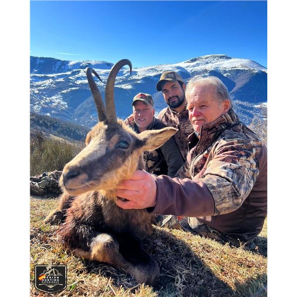 Dream Hunt Spain