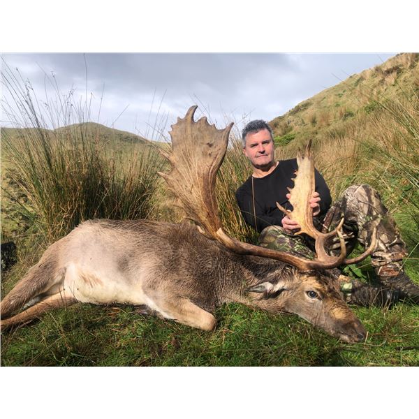 World Class Waitomo Caves, New Zealand Red Stag and Fallow Deer Hunt