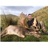 Image 1 : World Class Waitomo Caves, New Zealand Red Stag and Fallow Deer Hunt