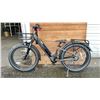 Image 2 : RAD POWER BIKES RADROVER 6 PLUS E-BIKE WITH BATTERY (NO KEY, NO CHARGER, UNKNOWN WORKING CONDITION)