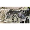 Image 4 : SHELF OF PAINTBALL GOGGLES & PAINTBALLS