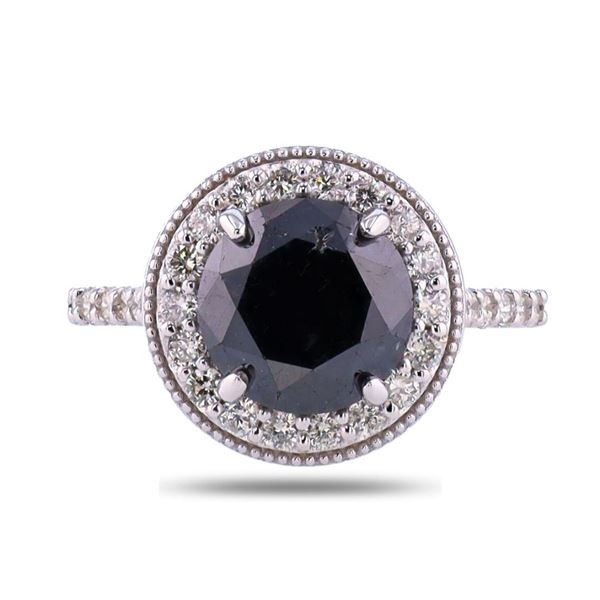 3.64 ctw Fancy Black CENTER Diamond 14K White Gold Ring (4.32 ctw Diamonds)